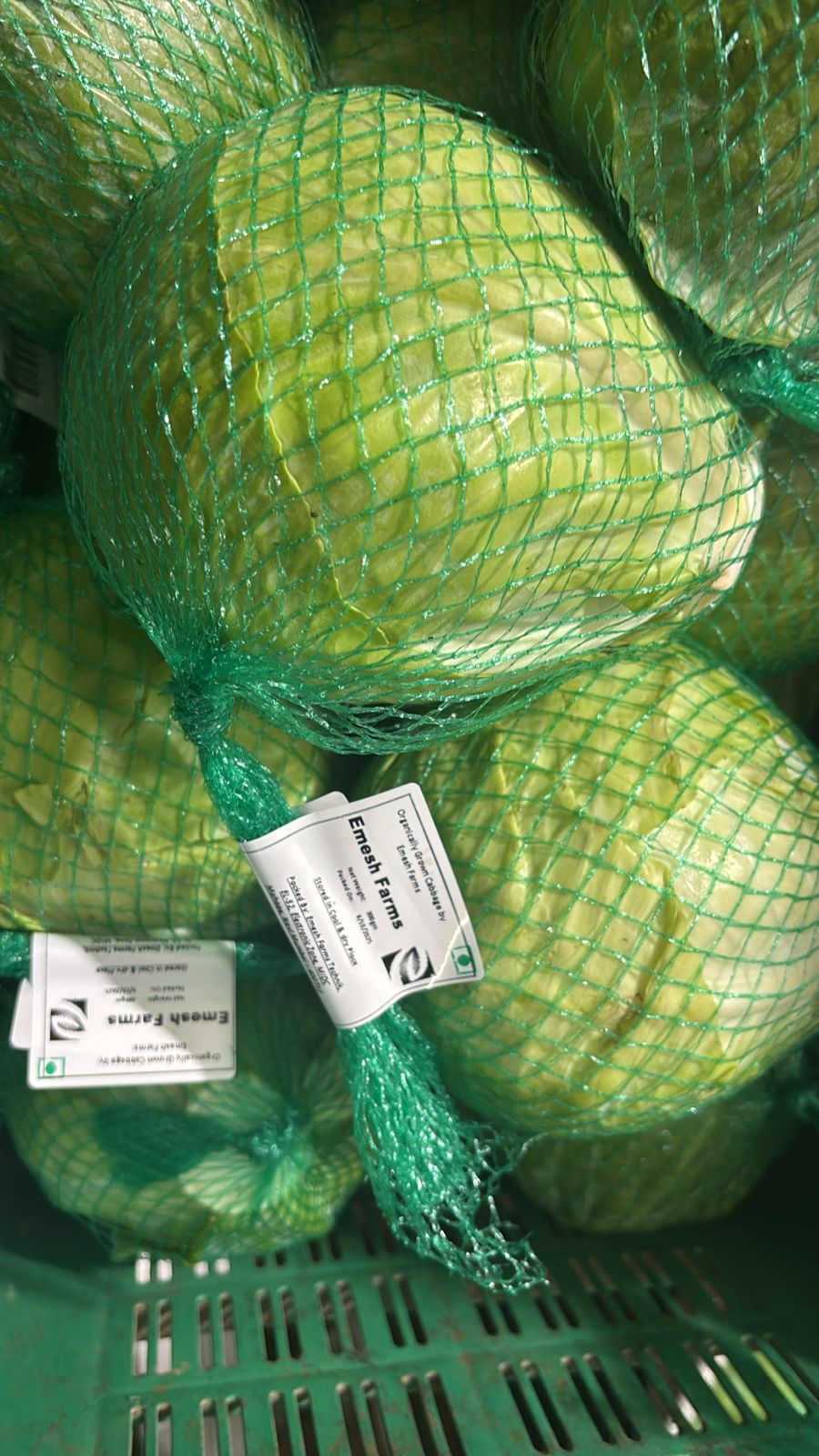 WhatsApp Image 2025-10-08 at 1.28.39 PM