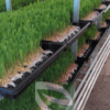 Advance Semi Automated Hydroponic Fodder Shadenet Machine